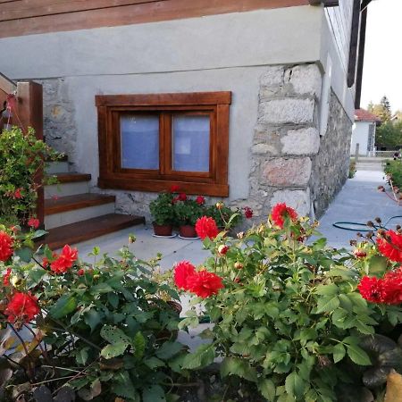 Dana Apartmani Kolašin Buitenkant foto
