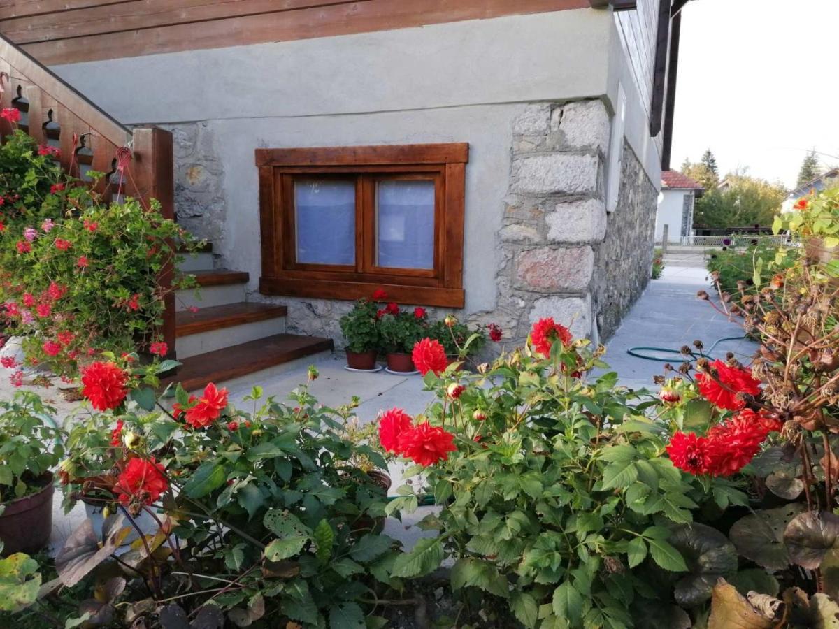 Dana Apartmani Kolašin Buitenkant foto